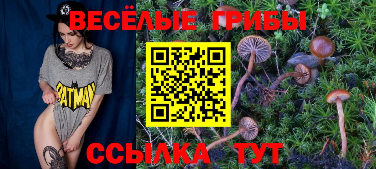 Псилоцибиновые грибы Cubensis  Галлюциногенные грибы ЛСД  наркота  Зеленокумск  Вход с VPN 
